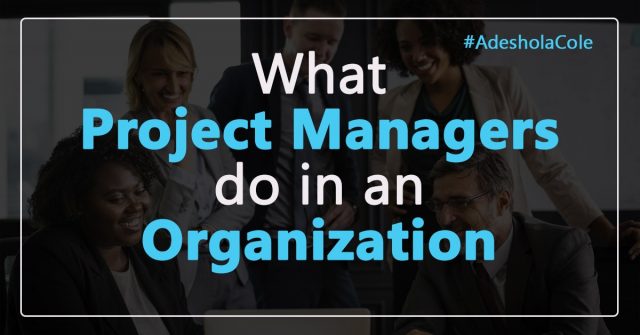 Read more about the article What Project Managers do in an Organization